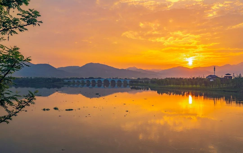 定了！定了??！帥豐電器獨(dú)家冠名的氧氣BAOBAO音樂(lè)節(jié)來(lái)啦！