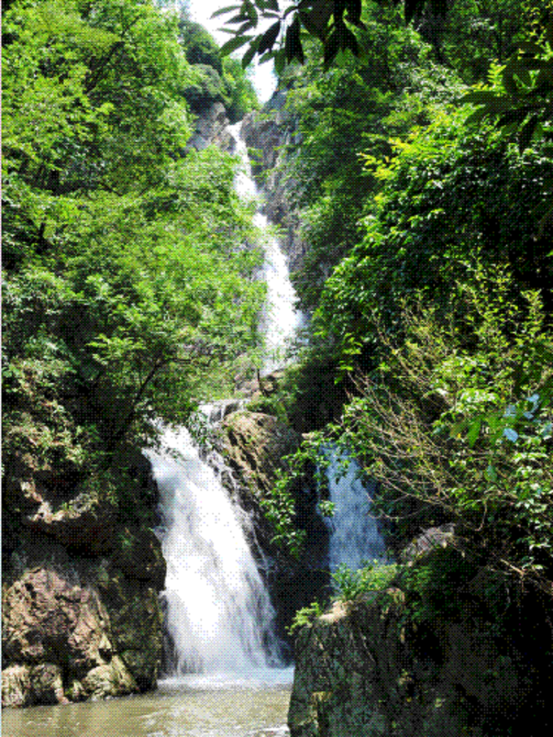 定了！定了??！帥豐電器獨(dú)家冠名的氧氣BAOBAO音樂(lè)節(jié)來(lái)啦！